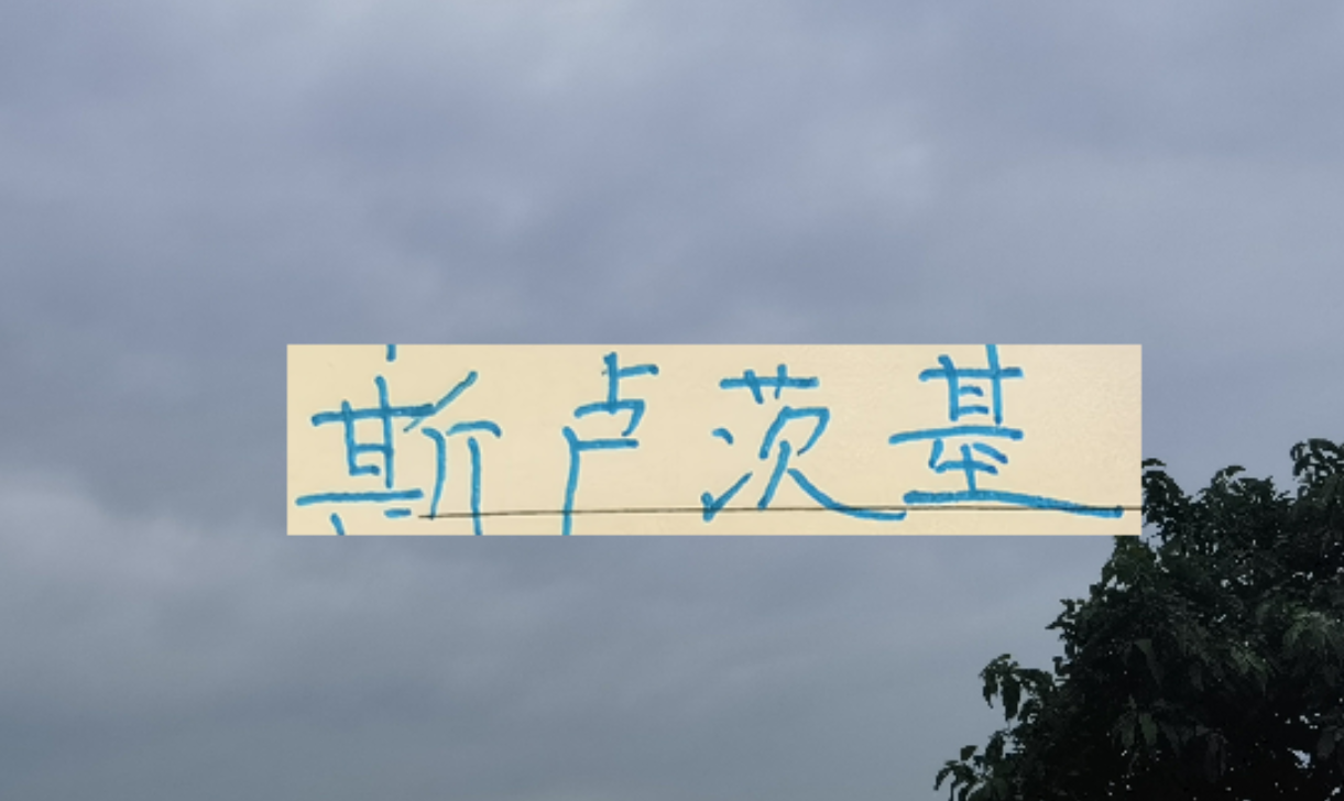 开云官网-2026赛季！申花“司机”还会三线全力以赴吗